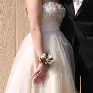 Cinderella Ballgown Prom Dress